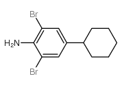 2,6-dibromo-4-cyclohexylaniline Structure