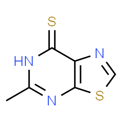 Thiazolo[5,4-d]pyrimidine-7(4H)-thione, 5-methyl- picture