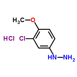 (3-Chloro-4-Methoxy-Phenyl)-Hydrazine Hydrochloride Structure