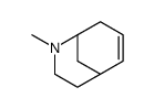 6-methyl-6-azabicyclo[3.3.1]non-2-ene Structure