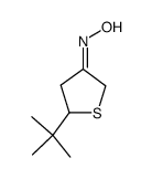 4,5-dihydro-5-(1,1-dimethylethyl)-3(2H)-thiophenone oxime Structure