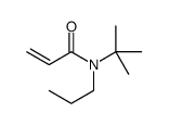 N-tert-butyl-N-propylprop-2-enamide Structure