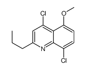 4,8-dichloro-5-methoxy-2-propylquinoline Structure