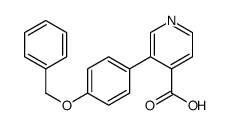 3-(4-phenylmethoxyphenyl)pyridine-4-carboxylic acid结构式