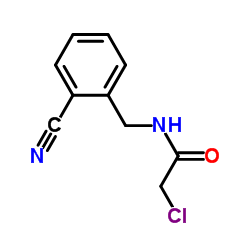 2-Chloro-N-(2-cyanobenzyl)acetamide Structure