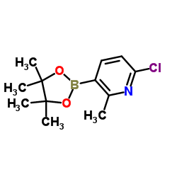 6-Chloro-2-methyl-3-(4,4,5,5-tetramethyl-1,3,2-dioxaborolan-2-yl)pyridine结构式
