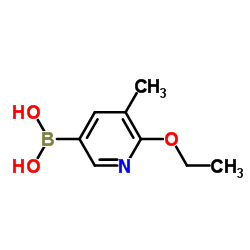 (6-Ethoxy-5-methyl-3-pyridinyl)boronic acid Structure