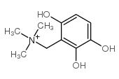 4-hydroxy-3-((trimethylammonio)methyl)catechol structure