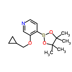 3-(Cyclopropylmethoxy)-4-(4,4,5,5-tetramethyl-1,3,2-dioxaborolan-2-yl)pyridine Structure