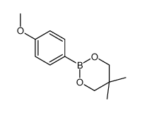 4-甲氧基苯硼酸新戊二醇酯图片