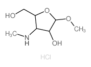 Ribofuranoside, methyl 3-deoxy-3-(methylamino)-,hydrochloride, a-D- (8CI) structure