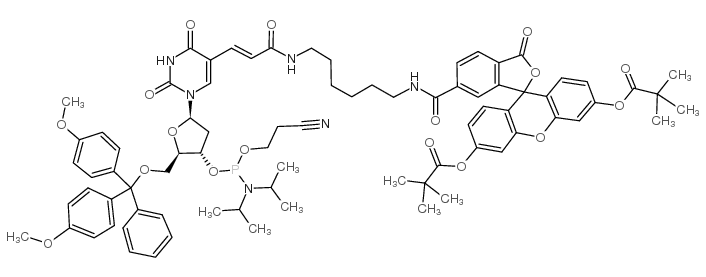 fluorescein-dt cep结构式