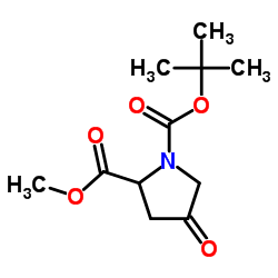 1-叔丁基2-甲基4-氧代吡咯烷-1,2-二羧酸酯结构式