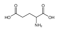 Glutamic acid structure