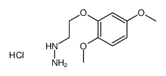 2-(2,5-dimethoxyphenoxy)ethylhydrazine,hydrochloride结构式