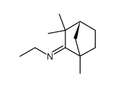 Ethyl-[(R)-1,3,3-trimethyl-bicyclo[2.2.1]hept-(2Z)-ylidene]-amine结构式