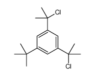 1-tert-butyl-3,5-bis(2-chloropropan-2-yl)benzene结构式