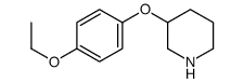 3-(4-ethoxyphenoxy)piperidine结构式