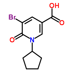 5-Bromo-1-cyclopentyl-6-oxo-1,6-dihydro-3-pyridinecarboxylic acid Structure