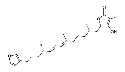 5-<13-(furan-3-yl)-2,6,10-trimethyltrideca-6,8-dienyl>-4-hydroxy-3-methylfuran-2(5H)-one Structure