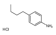 4-butylanilinium chloride structure