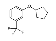 1-(CYCLOPENTYLOXY)-3-(TRIFLUOROMETHYL)BENZENE结构式