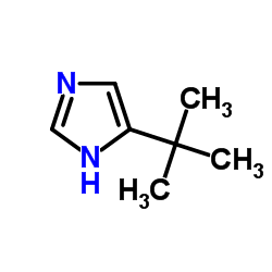5-(2-Methyl-2-propanyl)-1H-imidazole structure