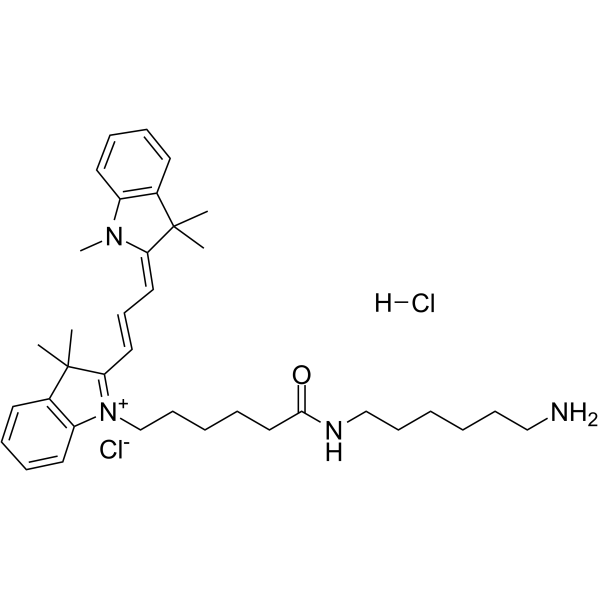 Cyanine3 amine structure