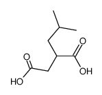 isobutyl-succinic acid Structure