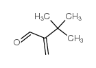 3,3-二甲基-2-亚甲基丁醛结构式