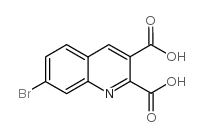 7-bromoquinoline-2,3-dicarboxylic acid structure