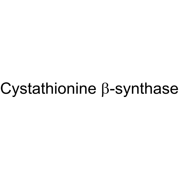 Cystathionine β-synthase Structure