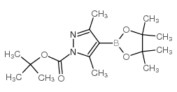 TERT-BUTYL 3,5-DIMETHYL-4-(4,4,5,5-TETRAMETHYL-1,3,2-DIOXABOROLAN-2-YL)-1H-PYRAZOLE-1-CARBOXYLATE picture