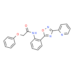 2-phenoxy-N-{2-[3-(pyridin-2-yl)-1,2,4-oxadiazol-5-yl]phenyl}acetamide Structure