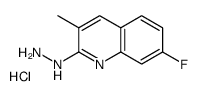 7-Fluoro-2-hydrazino-3-methylquinoline hydrochloride Structure