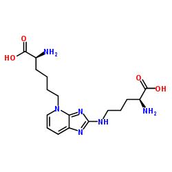 Pentosidine Structure