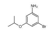 3-bromo-5-isopropoxyaniline picture