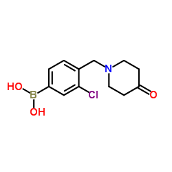 (3-chloro-4-((4-oxopiperidin-1-yl)Methyl)phenyl)boronic acid picture