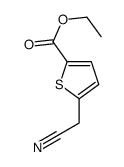 2-ACETONITRILTHIOPHENE-5-CARBOXYLIC ACID ETHYL ESTER Structure