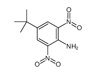 4-(1,1-Dimethylethyl)-2,6-dinitrobenzenamine结构式