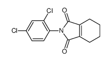 2-(2,4-dichlorophenyl)-4,5,6,7-tetrahydroisoindole-1,3-dione Structure