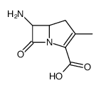 1-Azabicyclo[3.2.0]hept-2-ene-2-carboxylicacid,6-amino-3-methyl-7-oxo-(9CI) Structure