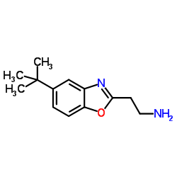 2-[5-(2-Methyl-2-propanyl)-1,3-benzoxazol-2-yl]ethanamine Structure
