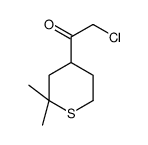 Ethanone, 2-chloro-1-(tetrahydro-2,2-dimethyl-2H-thiopyran-4-yl)- (9CI) Structure