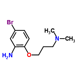 5-Bromo-2-[3-(dimethylamino)propoxy]aniline Structure