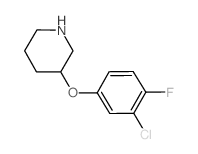 3-(3-Chloro-4-fluorophenoxy)piperidine Structure