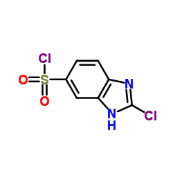 2-Chloro-1H-benzimidazole-5-sulfonyl chloride Structure