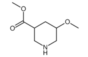 5-甲氧基哌啶-3-羧酸甲酯结构式
