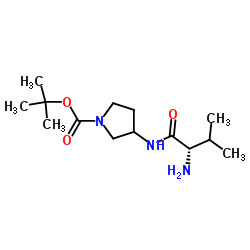 2-Methyl-2-propanyl 3-(L-valylamino)-1-pyrrolidinecarboxylate Structure