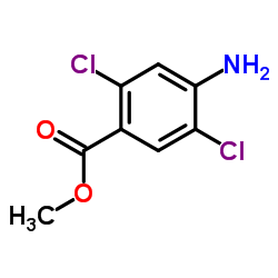 Methyl 4-amino-2,5-dichlorobenzoate图片